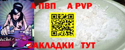 стаф Можга