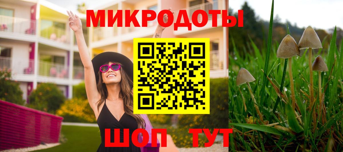 Таганрог  Псилоцибиновые грибы мицелий  Вход с VPN 