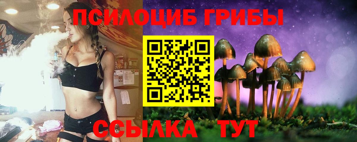 Псилоцибиновые грибы мицелий Таганрог